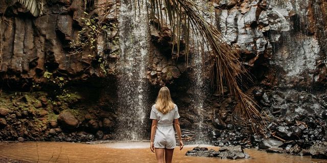 Bel ombre wilderness tour (2)